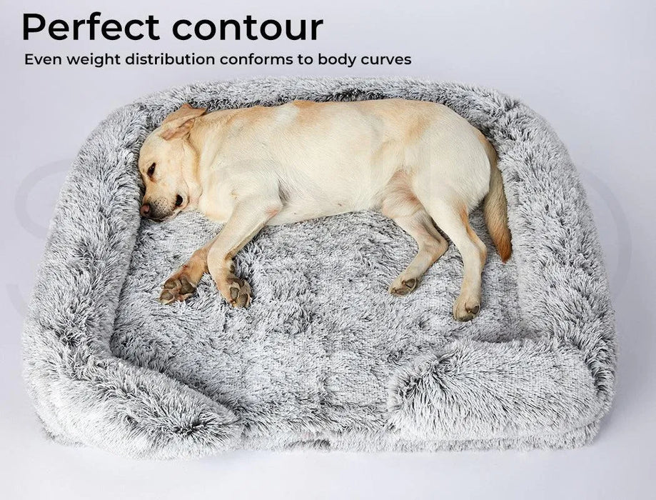 Pet Orthopaedic Bed