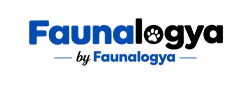 Faunalogya